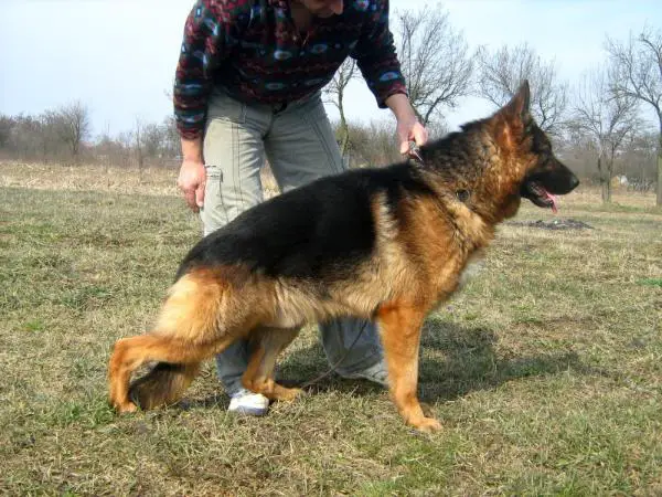 SG1, Wildprinces Eskó