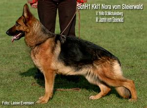 V Nora vom Steierwald