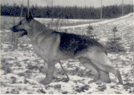 Bodo vom Bergischen Tal