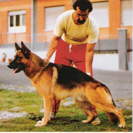 Fanto vom Siegbachtal