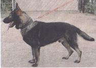 Bret Z Pohranicni Straze