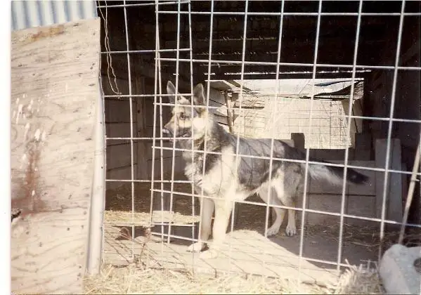 Midnight Matches Von Winhaus