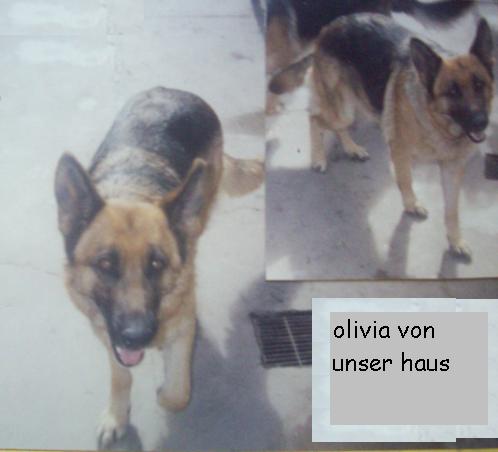 Olivia von unser haus