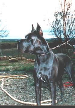 CH INTER Ems II de la Croix D Oc