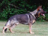 V Brisko vom Rheinstahl