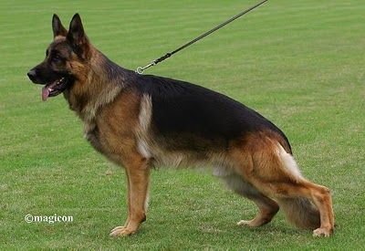 Yimmi vom Team Panoniansee