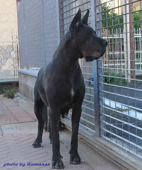 Odessa del Nord Ovest