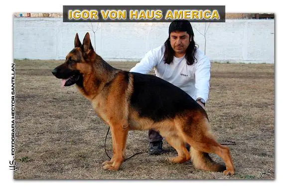 Igor Von Haus América