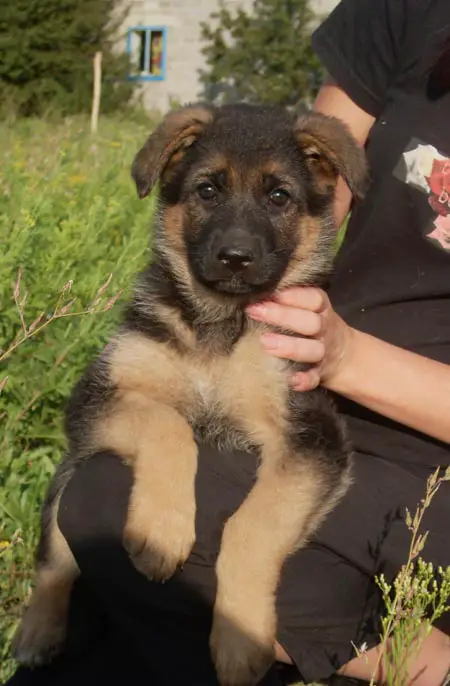 Era z Azovskogo Berega