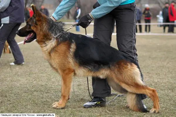 J.CH(UA), CH(UA) Zavist Bogov Kiran
