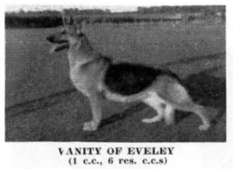Vanity of Eveley