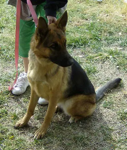 Jena von der Ernetranch