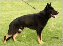 Kylath von der Reiherwiese