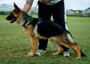 Turnberry Super Roo