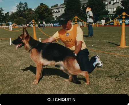Oli Chiquitin