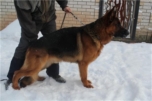 V(RUS) Kasper s Logoiskogo Trakta