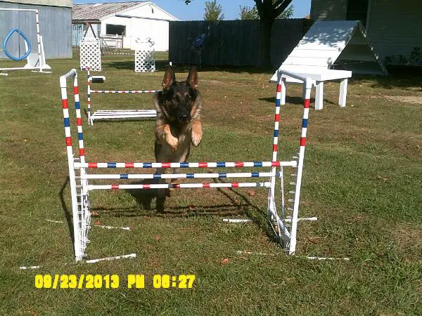 Hoof n Paw's Rednecked Bubba