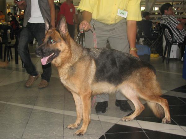 Eskas Of Subic Chumps