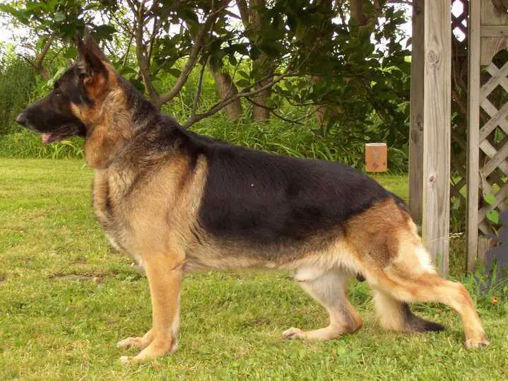 Aeval's Great Mystery of Achtung