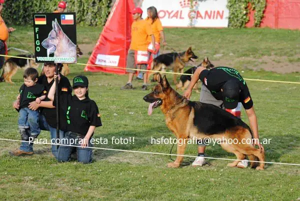 Figo von Betty Hauss