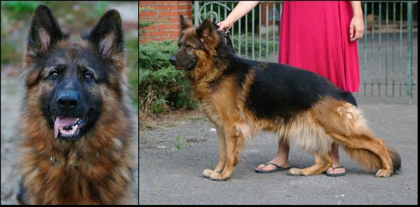 PBIS Monroe van Liedehof