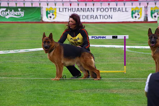 LT JCH Viktor s Logoiskogo Trakta