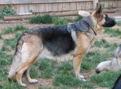 Raina Von Silbernem Flusschen