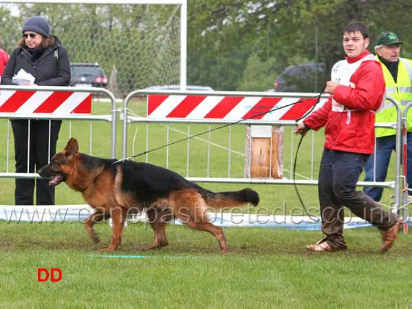 V Yaron dell'alto Ofanto