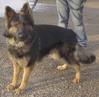 Remington von Barren Berg