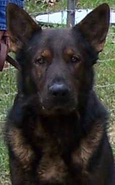 Bruno Vom Blankenhaus