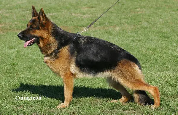 CH.(MD,BG,MN,MC,GE), Bellady van Contra