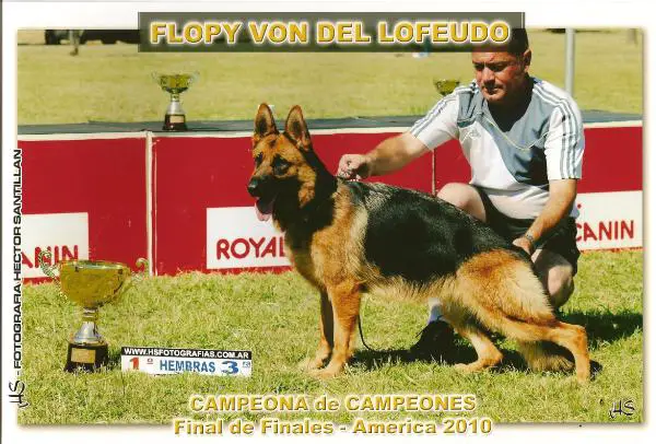 CAMP. DE CAMP 2010 Flopy Von Del Lofeudo