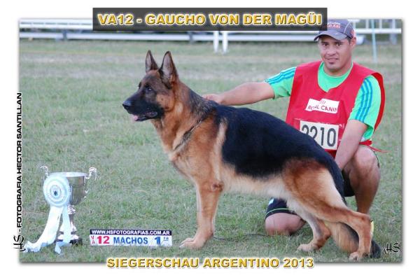 VA12 ARG 2013 Gaucho von der Magui