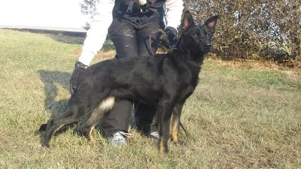 Kaper von Kistlerhaus