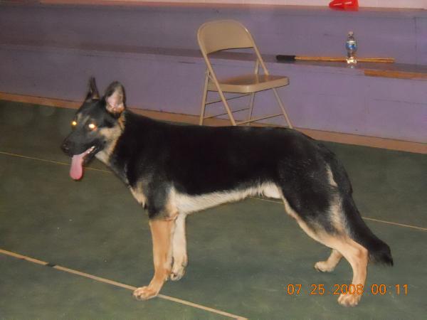 Esko de la Coquellerie