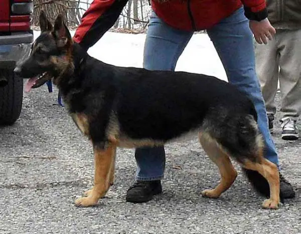 Kayla Von Moyer Haus