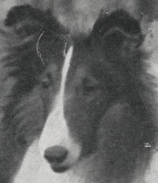 AMCH GBCH Laund Logic (Bellhaven Laund Logic)