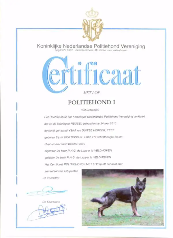 Yska vom Haus Valkenplatz