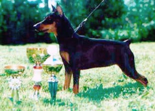 INTCH, MULTICH, EUW DORIT Me Beit Hamaayan