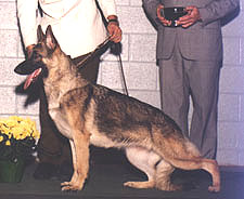 Tara-Airway's Reba of Eberling