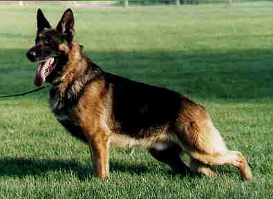 You Got My Number v JadaEdan