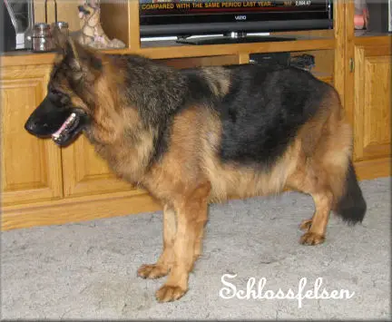 Yana von der Schatten