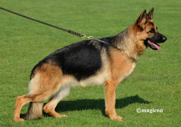 SG Roberta mit Spiellust