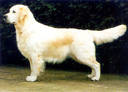 CH Gyrima Solitaire