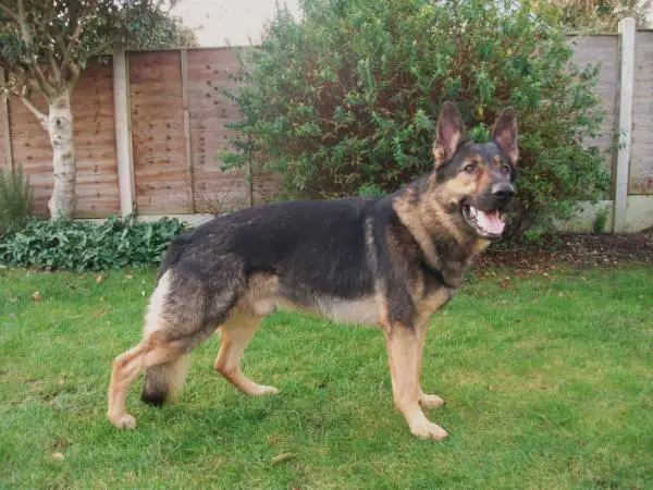 Moonwater Magic Kofi