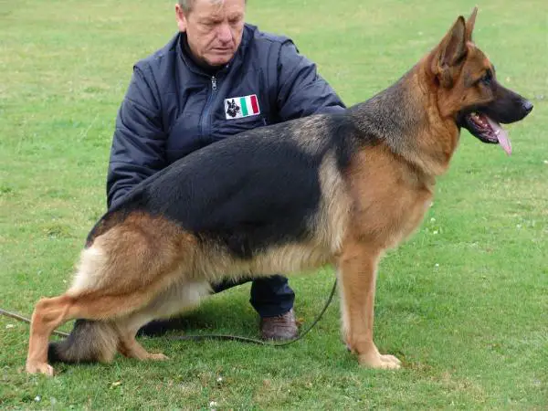 V Chanel Alexander The Great