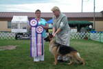 UKC GRCH Cattin Rhines Heavenly Hanna