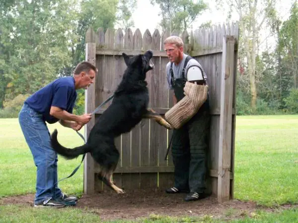 Andre Von Semrowplatz