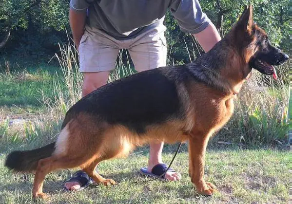 V2: Dina vom Weber-Haus