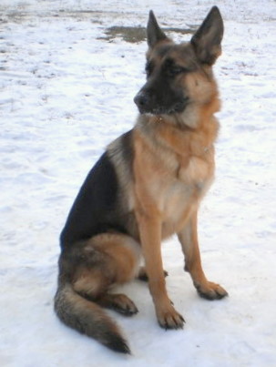 Mond Dyu Band Milissa